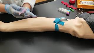 Phlebotomy Venipuncture Procedure [upl. by Ahsael]