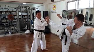 Uechi ryu sparring technique kumite in Yamashiro dojo Okinawa [upl. by Hainahpez146]