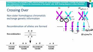 Crossing Over  IB Biology Revision Notes [upl. by Odnuges]