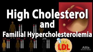 High Cholesterol and Familial Hypercholesterolemia Animation [upl. by Thirion808]