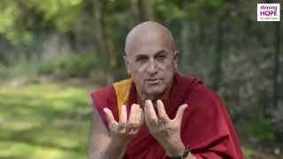 Meditation explained by Matthieu Ricard [upl. by Afinom240]