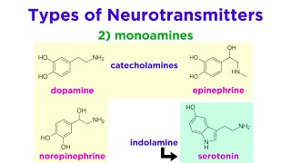 Neurotransmitters Type Structure and Function [upl. by Elem]