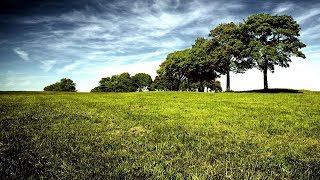 CANCIONES CRISTIANAS CON LETRA  Alabanzas Espiritu Santo  Musica Del Cielo [upl. by Erolyat]