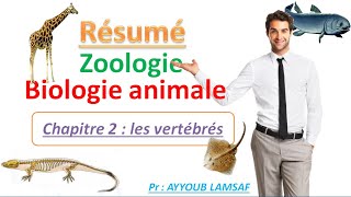 Résumé biologie animale Résumé zoologie [upl. by Nnylasor]