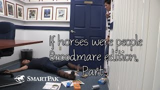 If horses were people  Broodmare edition Part 1 [upl. by O'Grady]