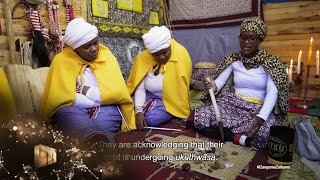 Progress check – Izangoma Zodumo  Mzansi Magic [upl. by Nanni]