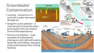 Environmental Concerns of Pesticide Use [upl. by Akinit]