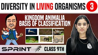 Diversity in Living Organisms 03  Kingdom Animalia  Basis of Classification  Class 9  NCERT [upl. by Niki]