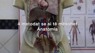 4 metodat se si te mesohet Anatomia [upl. by Gutow]