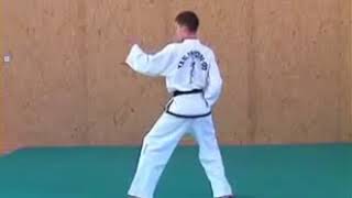 ITF Taekwondo Patterns 124  Taekwondo [upl. by Alboran]