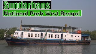 Sundarbans National Park West Bengal  All about journey on ship [upl. by Ardied]