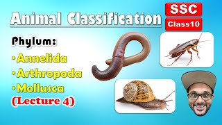 Animal Classification Lecture 4  Annelida Arthropoda Mollusca  Class 10  SSC  state board [upl. by Ardis]