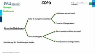 Innere Medizin ─ COPD [upl. by Losiram]