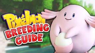 The Ultimate Pokemon Breeding Guide  Minecraft Pixelmon [upl. by Ibbob]