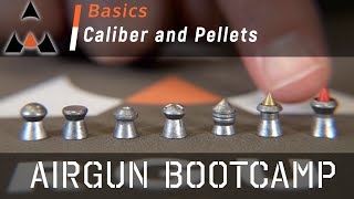 Airgun Pellet Calibers and Types  Airgun Bootcamp [upl. by Ilrahc]