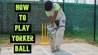 How To Play Yorker Ball [upl. by Barcus]