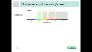 Fluorescence and Compensation in Flow Cytometry [upl. by Aridni]