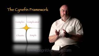 The Cynefin Framework [upl. by Adila564]