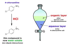 Separating Components of a Mixture by Extraction [upl. by Llenehc583]