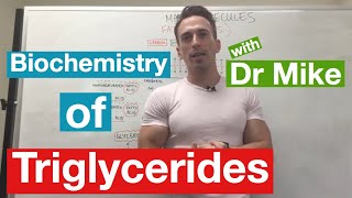 Fatty Acids Glycerol and Lipids  Biochemistry [upl. by Rivard]