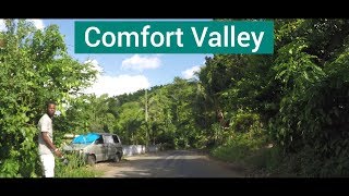 Comfort Valley St Mary Jamaica [upl. by Ahtimat]