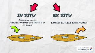 Biorremediación [upl. by Esile]