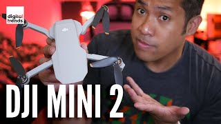 DJI Mini 2 review and flight test [upl. by Linsk]