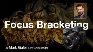 Focus Bracketing [upl. by Eicirtap]