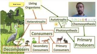 Biology 012 Ecosystems  Biotic and Abiotic Factors [upl. by Htebaras571]