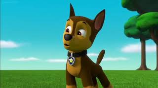 Paw patrol clip chase and skye mirror game [upl. by Platto]