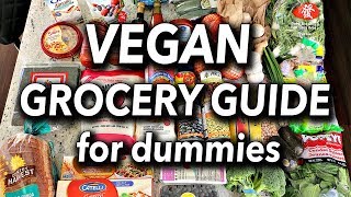 BUDGET FRIENDLY VEGAN GROCERY GUIDE FOR BEGINNERS  Vegan Grocery Haul [upl. by Bethina408]