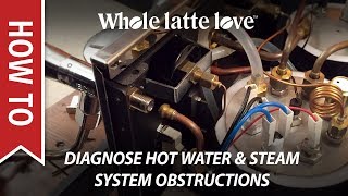 How To Diagnose Espresso Machine Hot Water or Steam System Obstructions [upl. by Hibbs230]