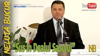 NELUTA BUCUR  Sus in Dealul Sasului live video [upl. by Nnylkoorb350]