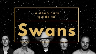 A Guide to SWANS [upl. by Skricki]