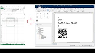 Connect Excel Data to NiceLabel and Print Label From Excel Data [upl. by Aerb]