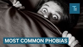 How To Get Over Phobias According To A Psychologist [upl. by Jacobson704]