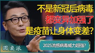 2025流感病毒威力超强？不是新冠后病毒都变异加强了，而是疫苗让我们的身体变差了？ 窦文涛 梁文道 马未都 周轶君 马家辉 许子东 圆桌派 圆桌派第七季 [upl. by Donald]