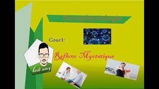 01 Le Reflexe myotatique  Neurophysiologie Bac Tunisie [upl. by Jorgenson]