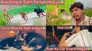 Simba K Dono Beta Ek Sath Hogye😍Last Simba Puppy😢Aadhi Raat Ko Car Kharab Hogye Jungle Mai Fass Gye😰 [upl. by Okia]