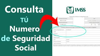 Como obtener tu NUMERO de SEGURO SOCIAL NSS para tramites [upl. by Bing]