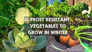 10 Frost Resistant Vegetables to Grow in Winter [upl. by Enna]