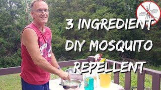 3 Ingredient DIY Mosquito Repellent [upl. by Egarton853]