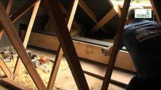 Single Velux Loft Conversion [upl. by Lleryd]