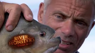 Deadly Piranhas Attack  PIRANHA  River Monsters [upl. by Rafa805]