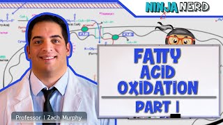 Metabolism  Fatty Acid Oxidation Part 1 [upl. by Tal]