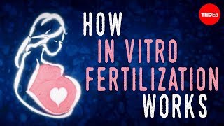 How in vitro fertilization IVF works  Nassim Assefi and Brian A Levine [upl. by Hait609]