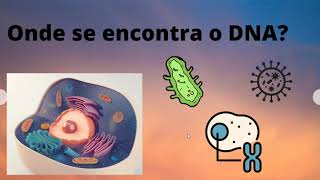 Genes DNA e cromossomos [upl. by Harmonie]