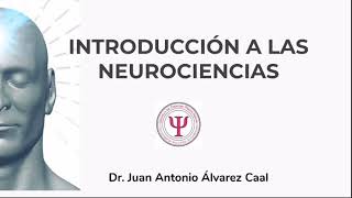 Neurociencia básica introducción [upl. by Adur200]