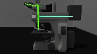 Fluorescence Microscopy Animation [upl. by Aihsila]