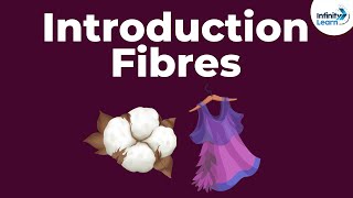 Fibres to Fabrics  Introduction  Types of Fibres  Dont Memorise [upl. by Eelyak]